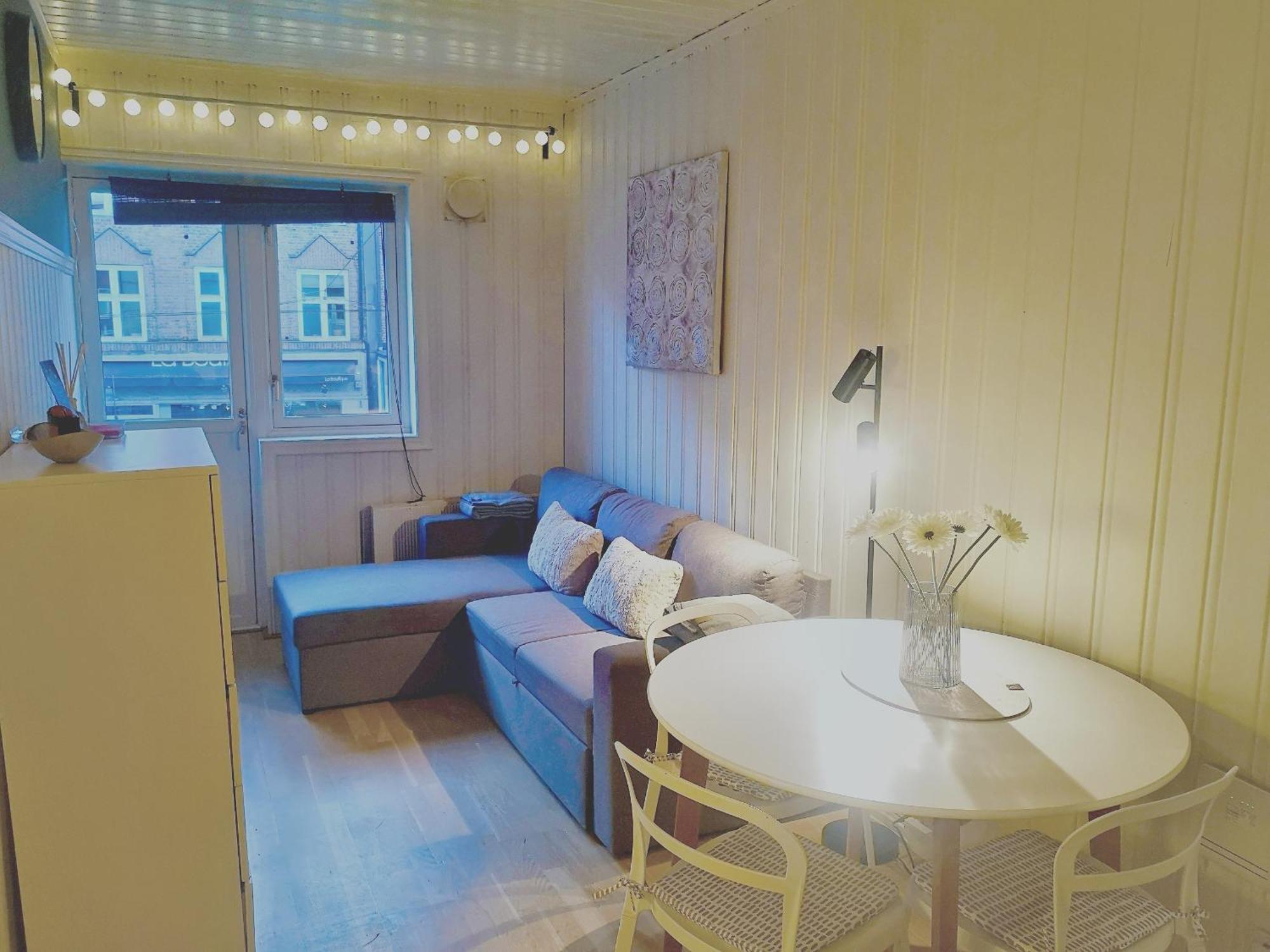 Cosy And Central, By Frogner Park Oslo